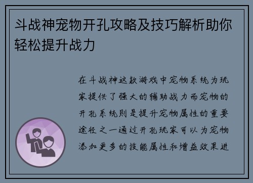 斗战神宠物开孔攻略及技巧解析助你轻松提升战力